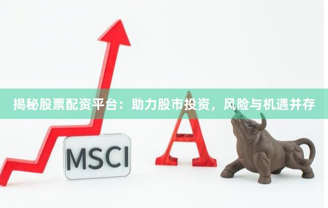 揭秘股票配资平台：助力股市投资，风险与机遇并存