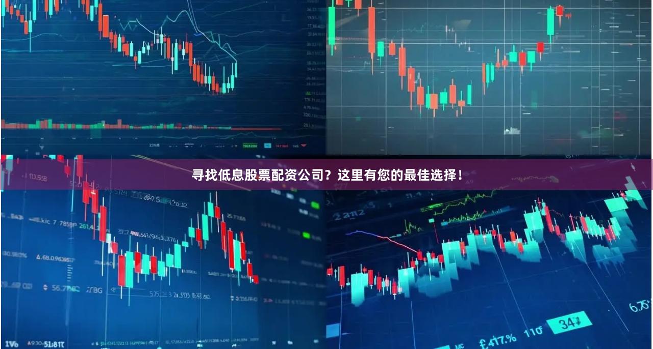 寻找低息股票配资公司？这里有您的最佳选择！